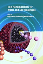 Iron Nanomaterials for Water and Soil Treatment