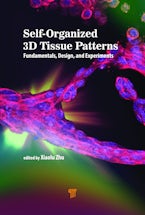 Self-Organized 3D Tissue Patterns